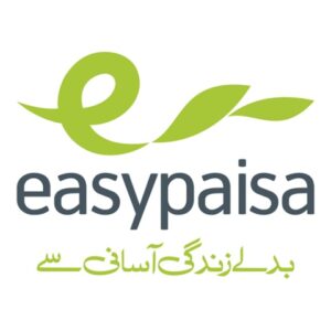 Easypaisa app not working today showing loading error on Android phone