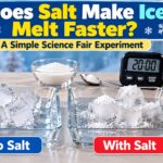 Does Salt Make Ice Melt Faster? Science Fair Experiment